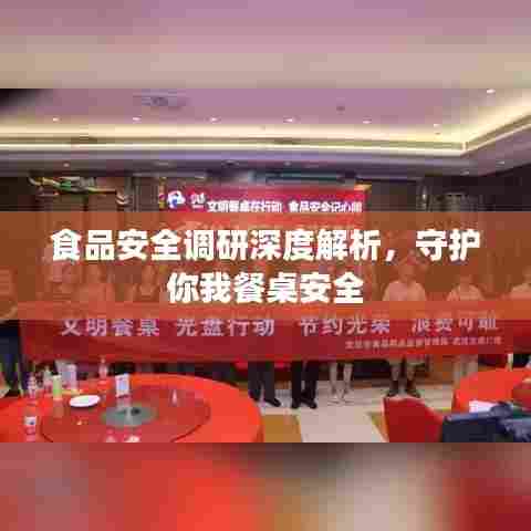 食品安全调研深度解析，守护你我餐桌安全