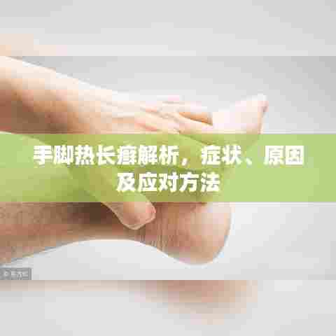 手脚热长癣解析，症状、原因及应对方法