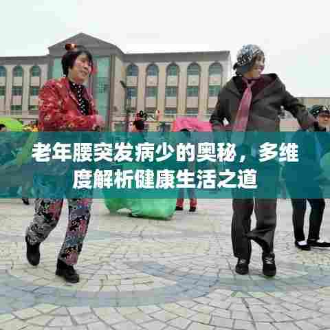 老年腰突发病少的奥秘，多维度解析健康生活之道