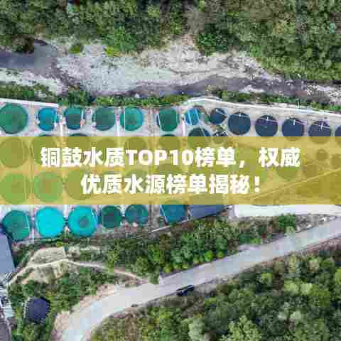 铜鼓水质TOP10榜单，权威优质水源榜单揭秘！