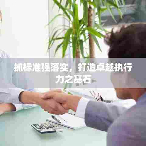 抓标准强落实，打造卓越执行力之基石