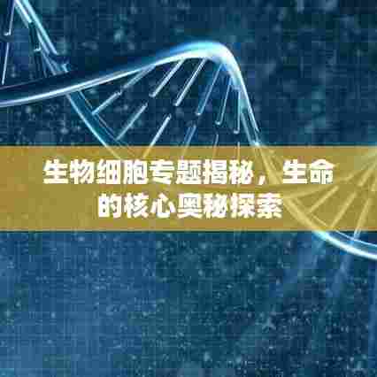 南辕北辙 第5页