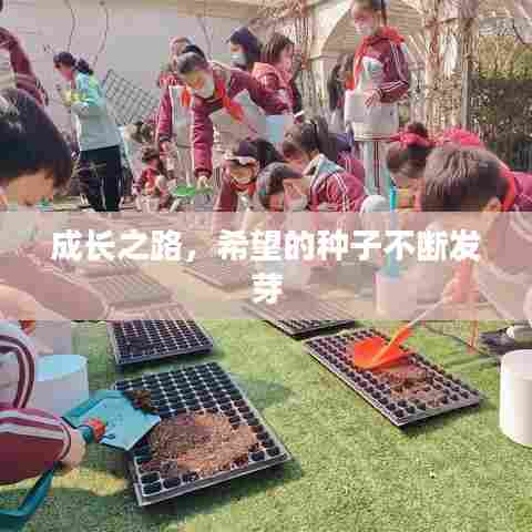 成长之路，希望的种子不断发芽