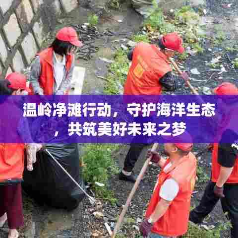 温岭净滩行动，守护海洋生态，共筑美好未来之梦
