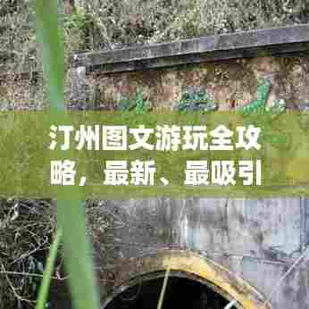 汀州图文游玩全攻略，最新、最吸引人的旅行指南！