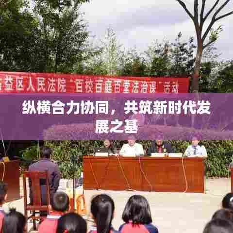 纵横合力协同，共筑新时代发展之基