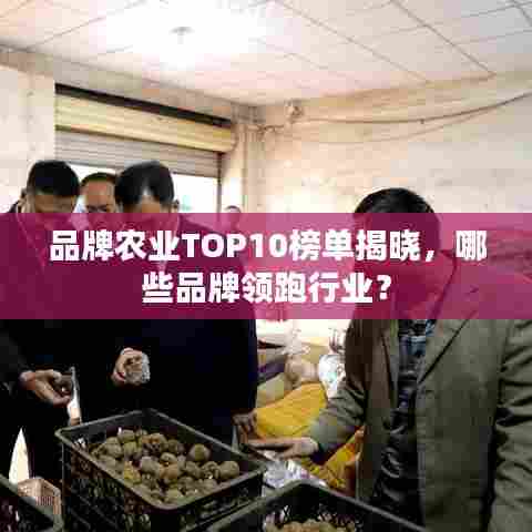 品牌农业TOP10榜单揭晓，哪些品牌领跑行业？