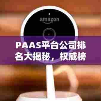 PAAS平台公司排名大揭秘，权威榜单，一窥行业巨头风采！