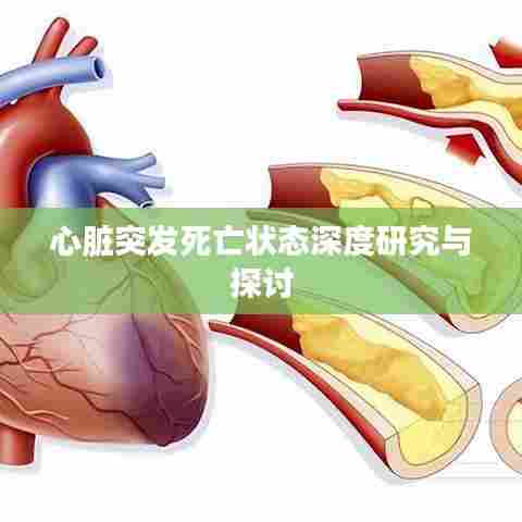 心脏突发死亡状态深度研究与探讨