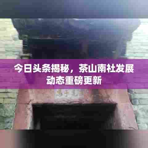 今日头条揭秘，茶山南社发展动态重磅更新