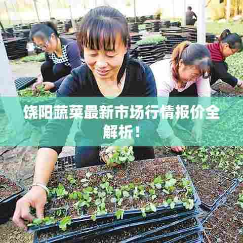 饶阳蔬菜最新市场行情报价全解析！