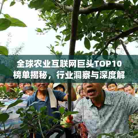 全球农业互联网巨头TOP10榜单揭秘，行业洞察与深度解析