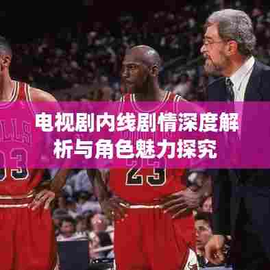电视剧内线剧情深度解析与角色魅力探究