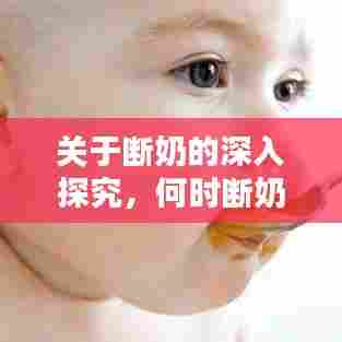 关于断奶的深入探究，何时断奶最佳？喂养新选择探讨！