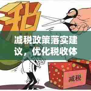 减税政策落实建议，优化税收体系，促进经济活力提升