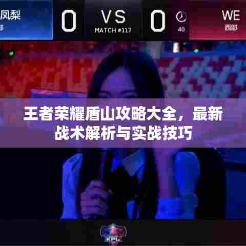 王者荣耀盾山攻略大全，最新战术解析与实战技巧
