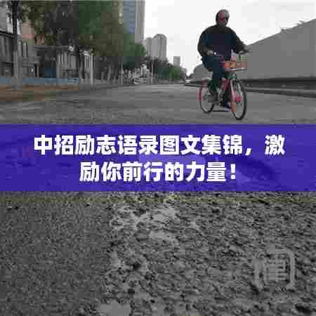 中招励志语录图文集锦，激励你前行的力量！