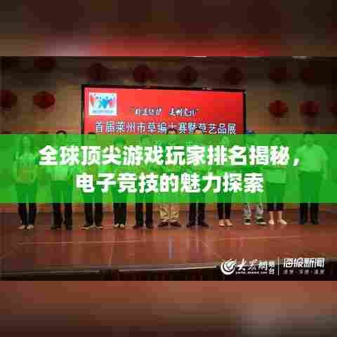 全球顶尖游戏玩家排名揭秘，电子竞技的魅力探索