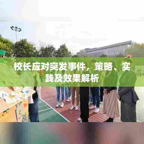 神采奕奕 第5页