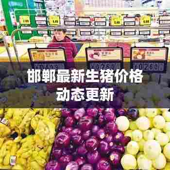 邯郸最新生猪价格动态更新