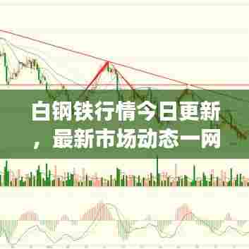 白钢铁行情今日更新，最新市场动态一网打尽！