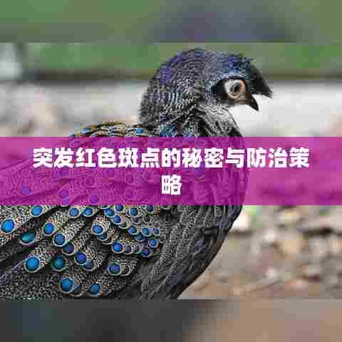 突发红色斑点的秘密与防治策略