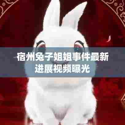 宿州兔子姐姐事件最新进展视频曝光