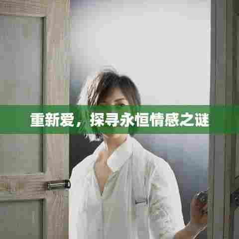 重新爱，探寻永恒情感之谜