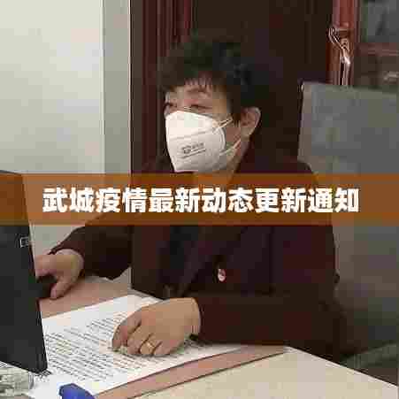 武城疫情最新动态更新通知