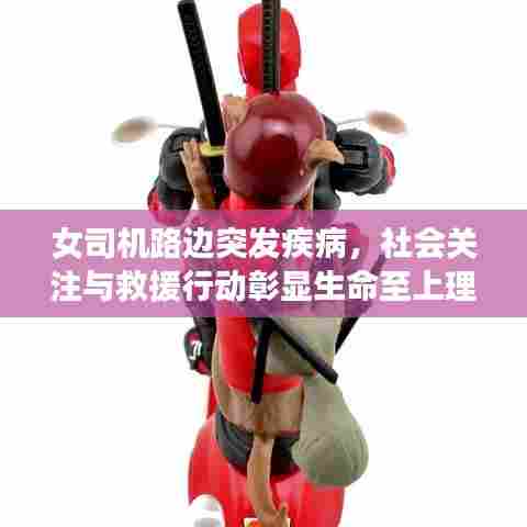 女司机路边突发疾病，社会关注与救援行动彰显生命至上理念