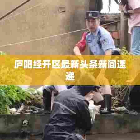 庐阳经开区最新头条新闻速递