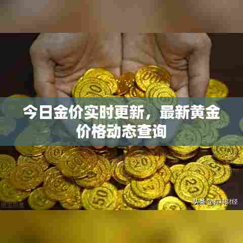 今日金价实时更新，最新黄金价格动态查询