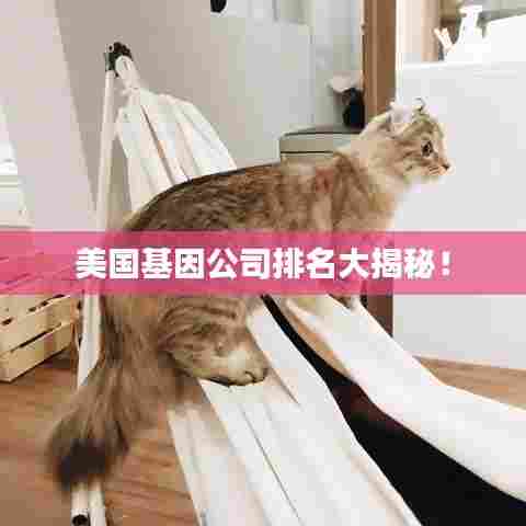 美国基因公司排名大揭秘！