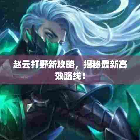 赵云打野新攻略，揭秘最新高效路线！