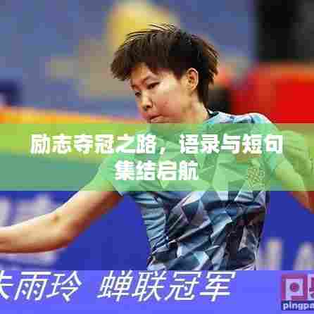 励志夺冠之路，语录与短句集结启航