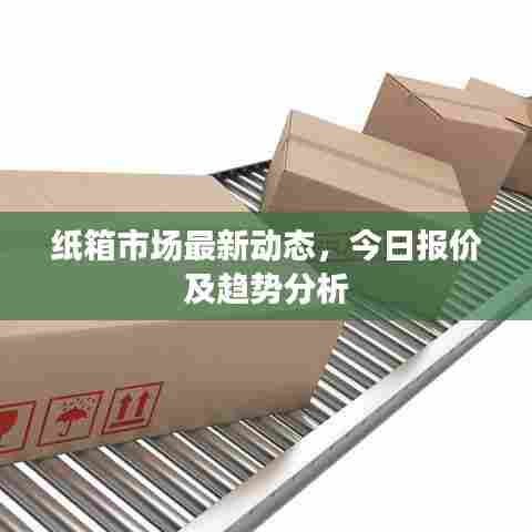 纸箱市场最新动态，今日报价及趋势分析