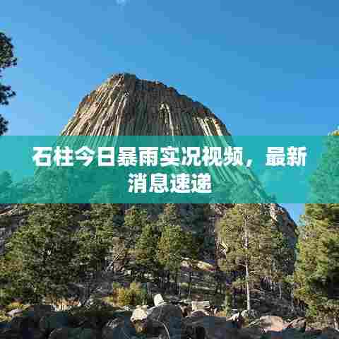 石柱今日暴雨实况视频，最新消息速递