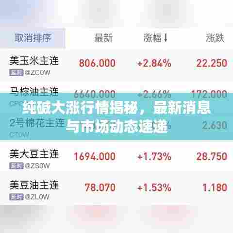 纯碱大涨行情揭秘，最新消息与市场动态速递