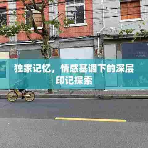 独家记忆，情感基调下的深层印记探索