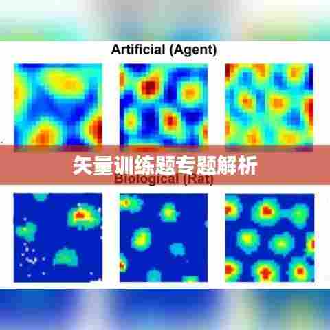 矢量训练题专题解析
