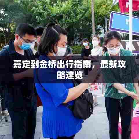 嘉定到金桥出行指南，最新攻略速览