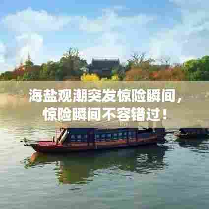 海盐观潮突发惊险瞬间，惊险瞬间不容错过！