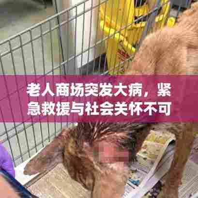 老人商场突发大病，紧急救援与社会关怀不可或缺