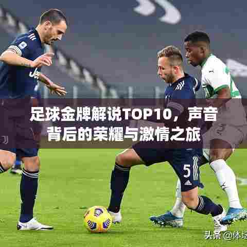 足球金牌解说TOP10，声音背后的荣耀与激情之旅