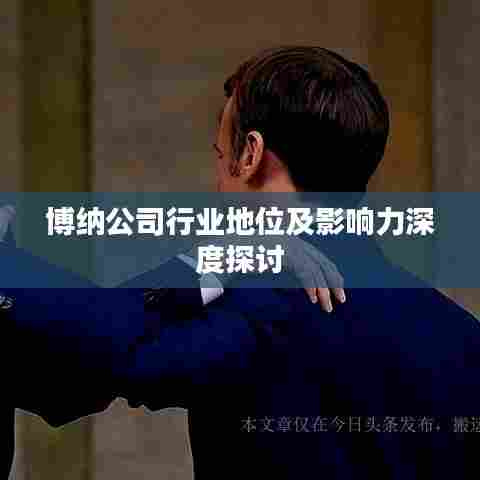 博纳公司行业地位及影响力深度探讨