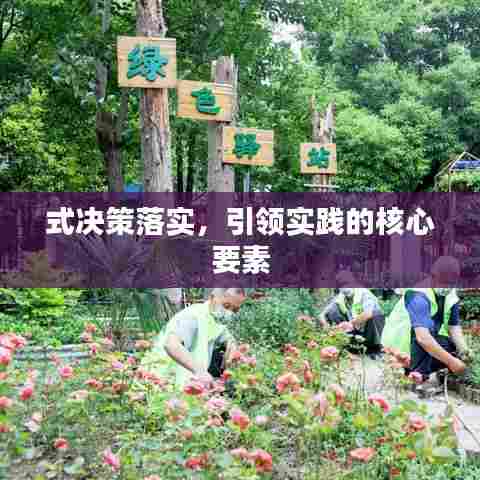 式决策落实，引领实践的核心要素