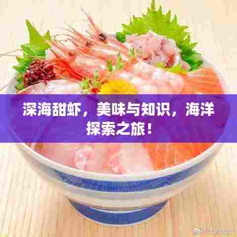 深海甜虾，美味与知识，海洋探索之旅！
