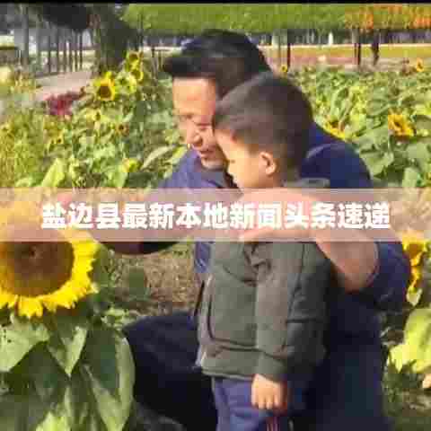 盐边县最新本地新闻头条速递