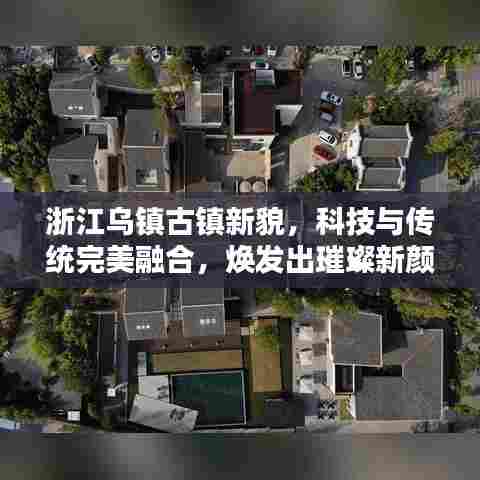 避繁就简 第5页