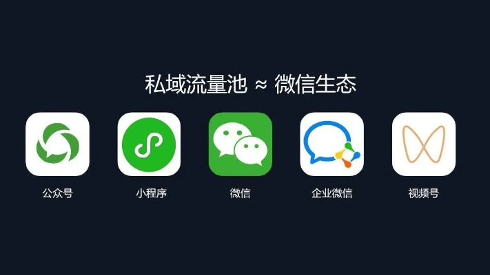 微信653版本,可持续发展探索&amp;纪念版_v9.781